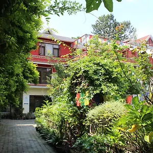 book here